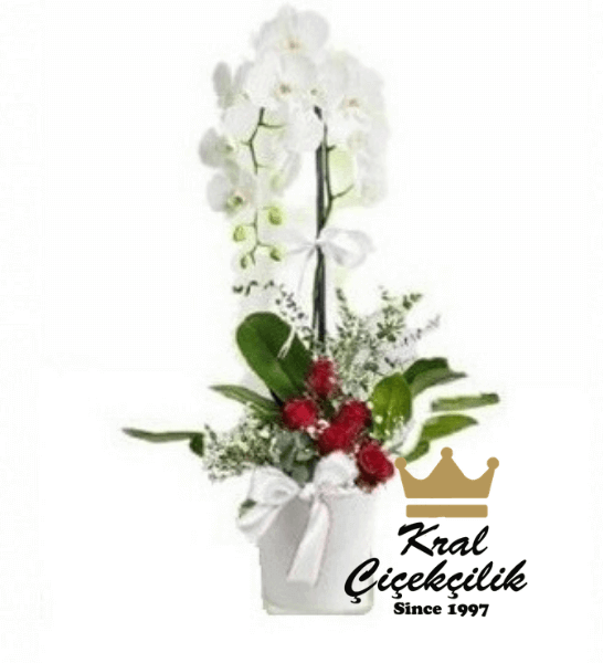 Tek Dal İthal Orkide Çiçek Aranjmanlı Orkide Çiçeği tek dallı seramik saksısında alt gövdesi lilyum ve gül çiçekleri ile itina ile çiçek arajmanlı yapılmıştır